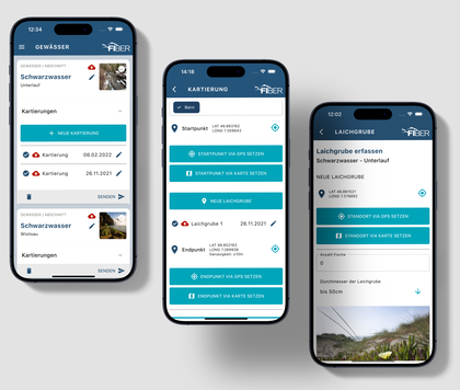 Zeigt drei iOS Mockups verschiedener Zustände der FIBER Laichzeit App