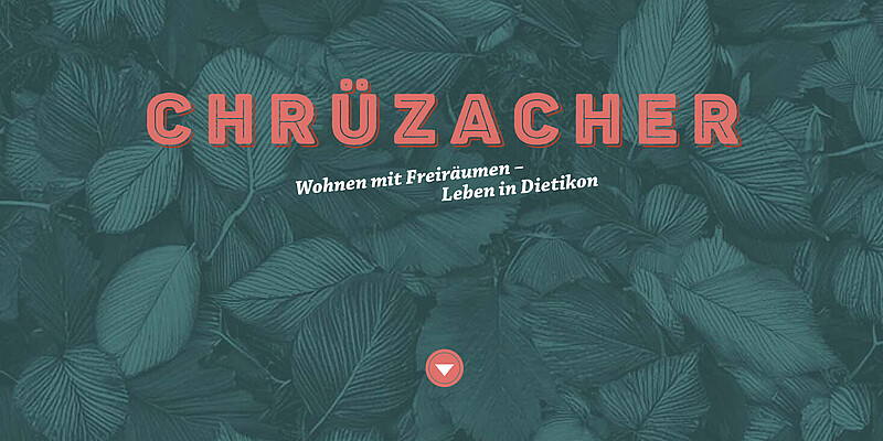 Zeigt das Logo auf der Website des Projektes Chrüzacher in Dietikon